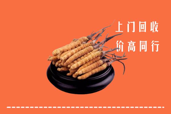 高价求购：唐市回收散虫草