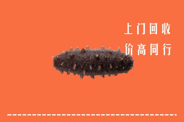 唐市回收海参