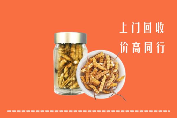 唐市回收冬虫夏草