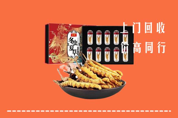 唐市回收虫草